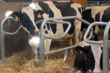 Changer ses logettes - Le témoignage d'éleveurs